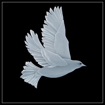 The first dove design with both wings vertical