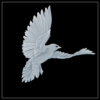 The second dove design with wings spread out