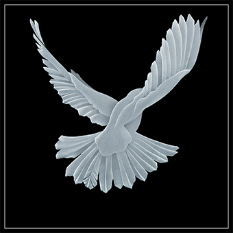 The fourth dove design with both wings spread out viewing the dove from the back