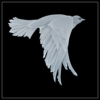 The fifth dove design with both wings pointed down as it flies